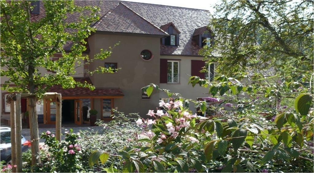 Landgrafen-Muehle Hotel Wallhalben Exterior foto